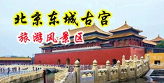 尤物av蜜汁在线观看中国北京-东城古宫旅游风景区